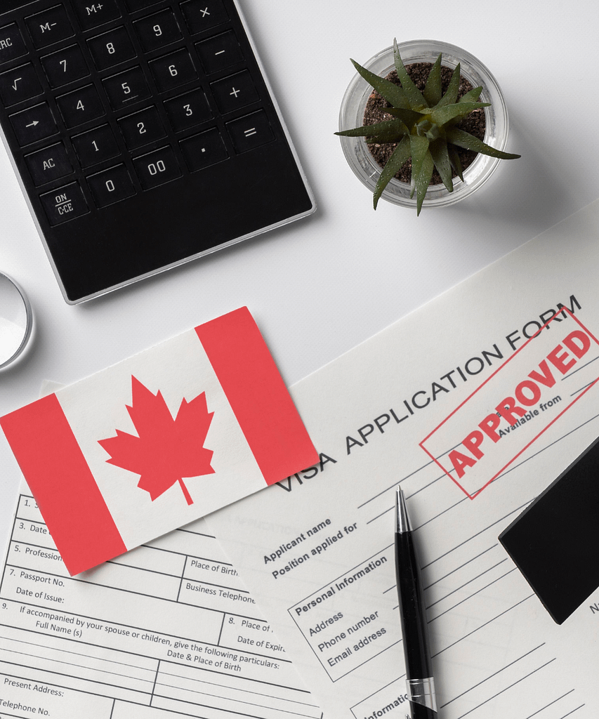 Visa application form